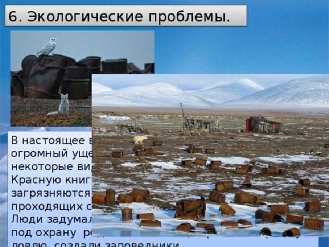 Зона арктических пустынь