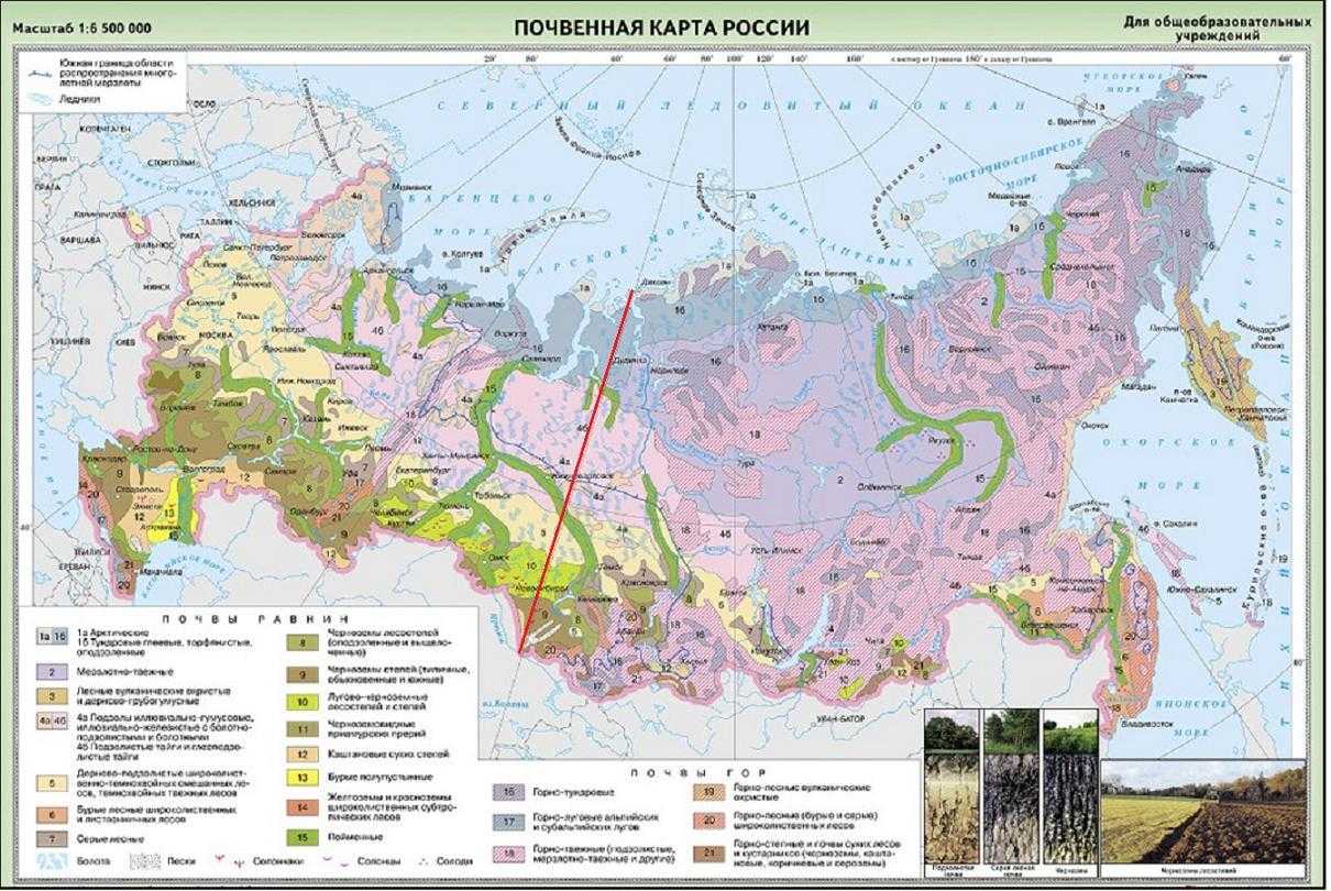 Почвы
, том 1 @ национальный атлас россии