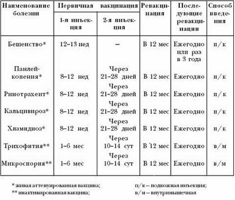 Как проглистогонить кошку: все о дегельминтизации кошек и котят, лечебные и профилактические меры