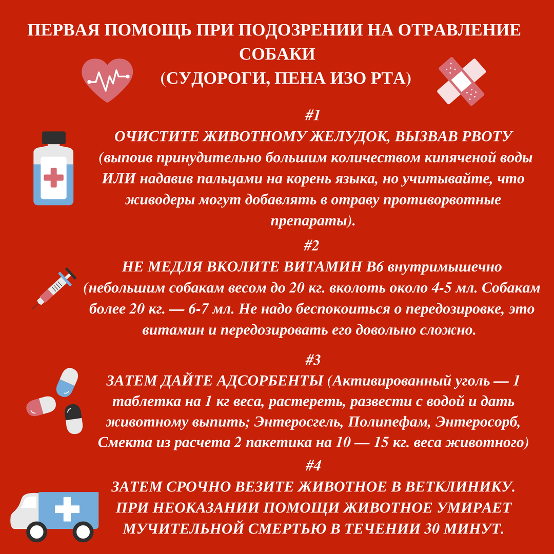 Отравление собаки догхантерами