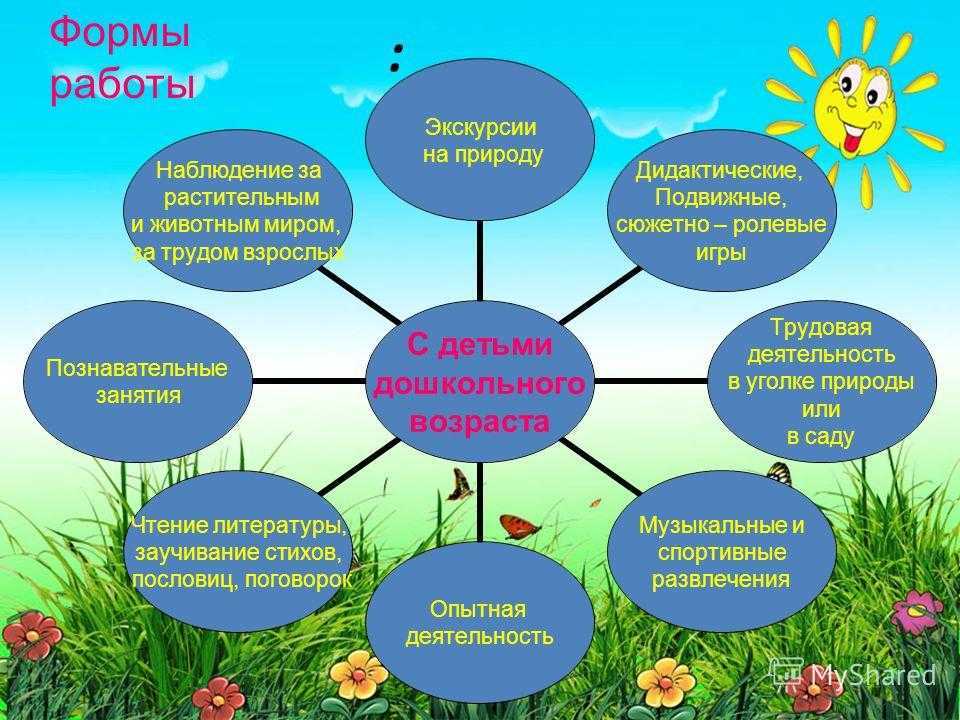 Методическая разработка «экологические характеристики санкт-петербурга». воспитателям детских садов, школьным учителям и педагогам - маам.ру
