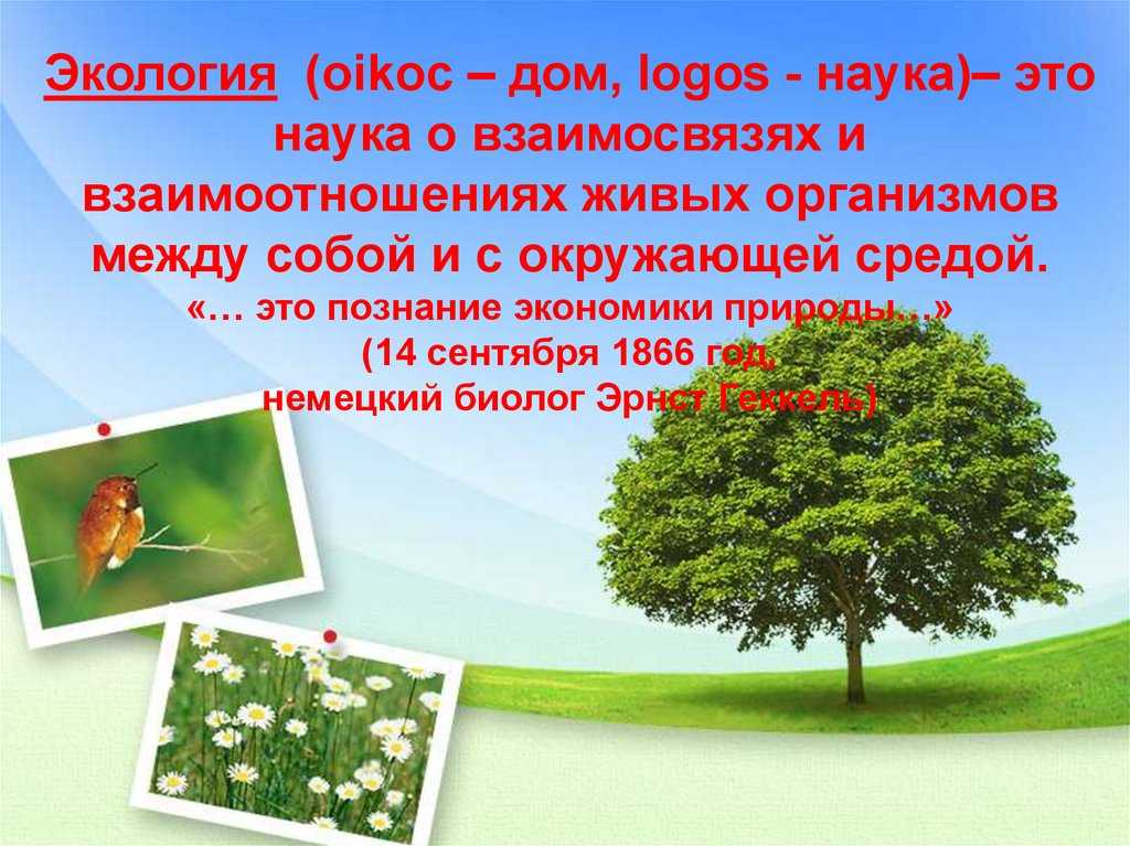 Науки о природе