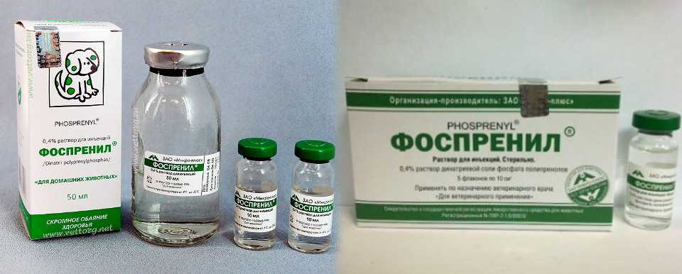Фоспренил и фронтлайн для собак: показания, инструкция по применению и дрогое