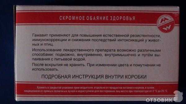 Гамавит для собак: назначение, инструкция по применению и дозировка