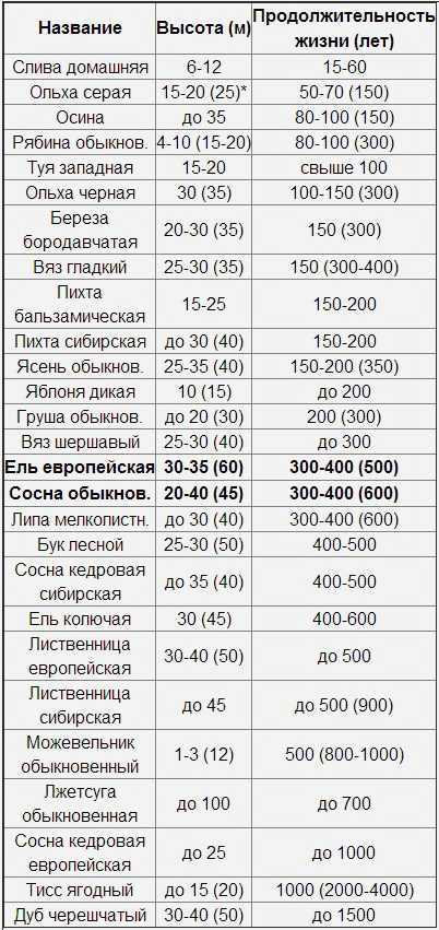 На сколько см в год растет кедр. кедры (cedrus) - крупные хвойные деревья, родственники лиственниц.