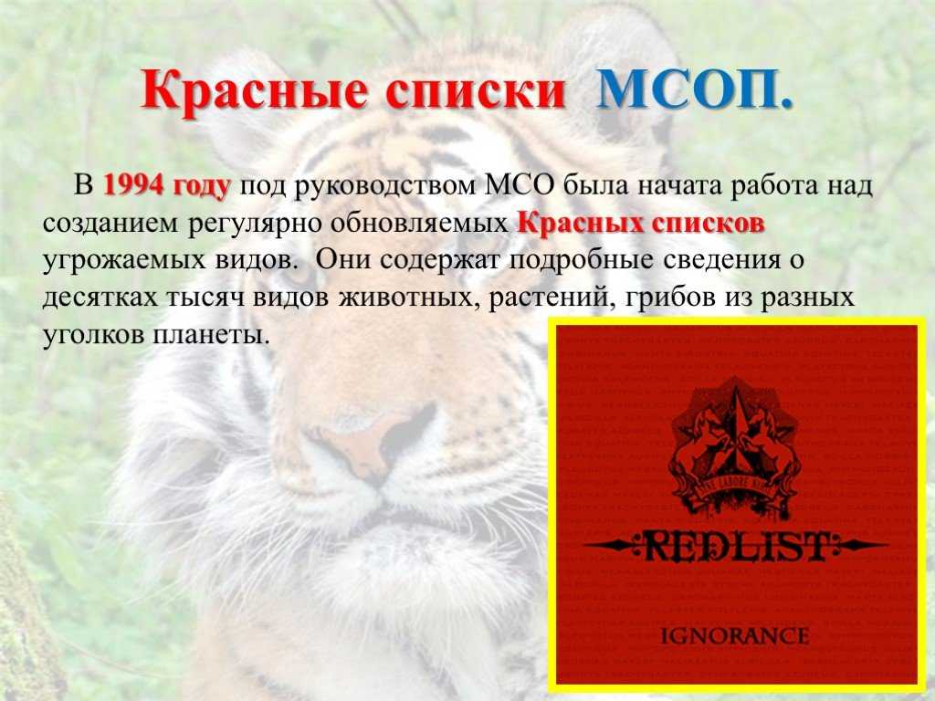 Доклад сообщение красная книга