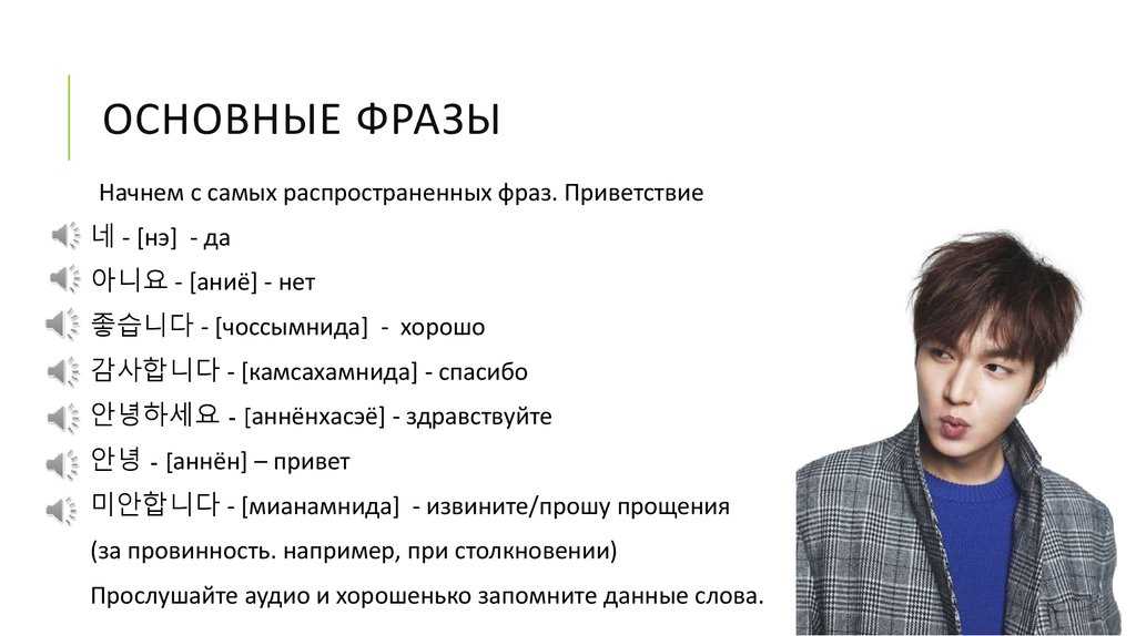 Интересные клички для абиссинской кошки и кота