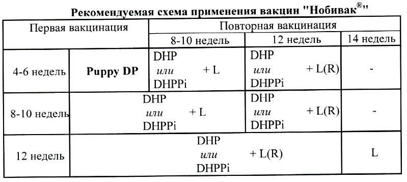 Нобивак для собак: разновидности вакцины, инструкция по применению, схема вакцинации