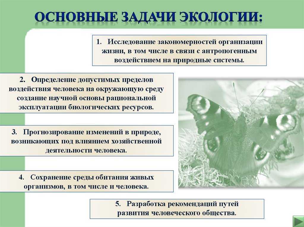 Как решить современные проблемы экологии природы