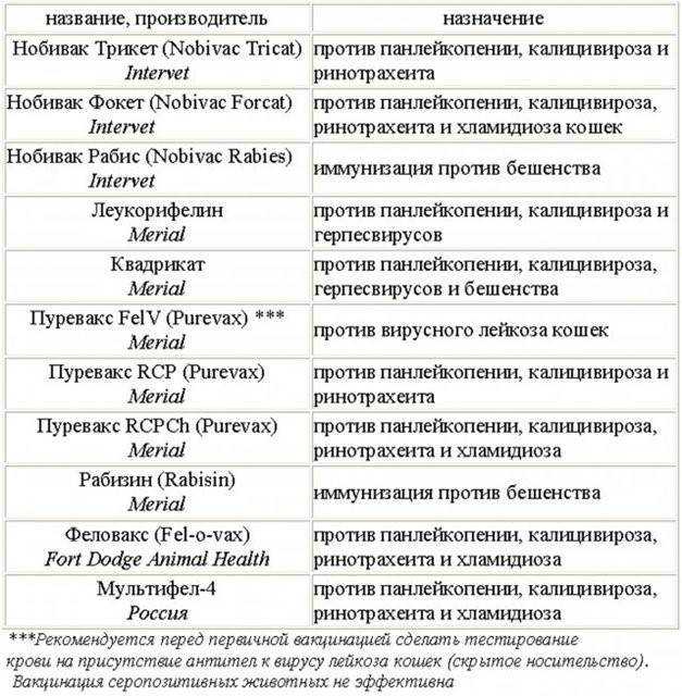 Укол от бешенства кошке: за и против, рейтинг вакцин, правила