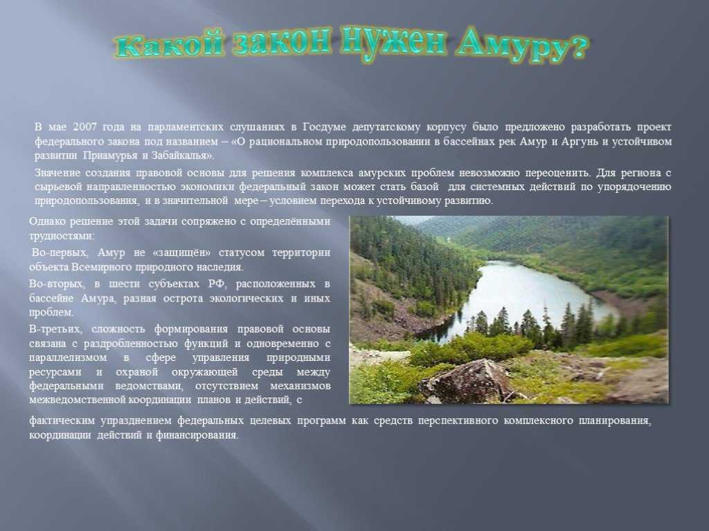 Река амур как природный ресурс