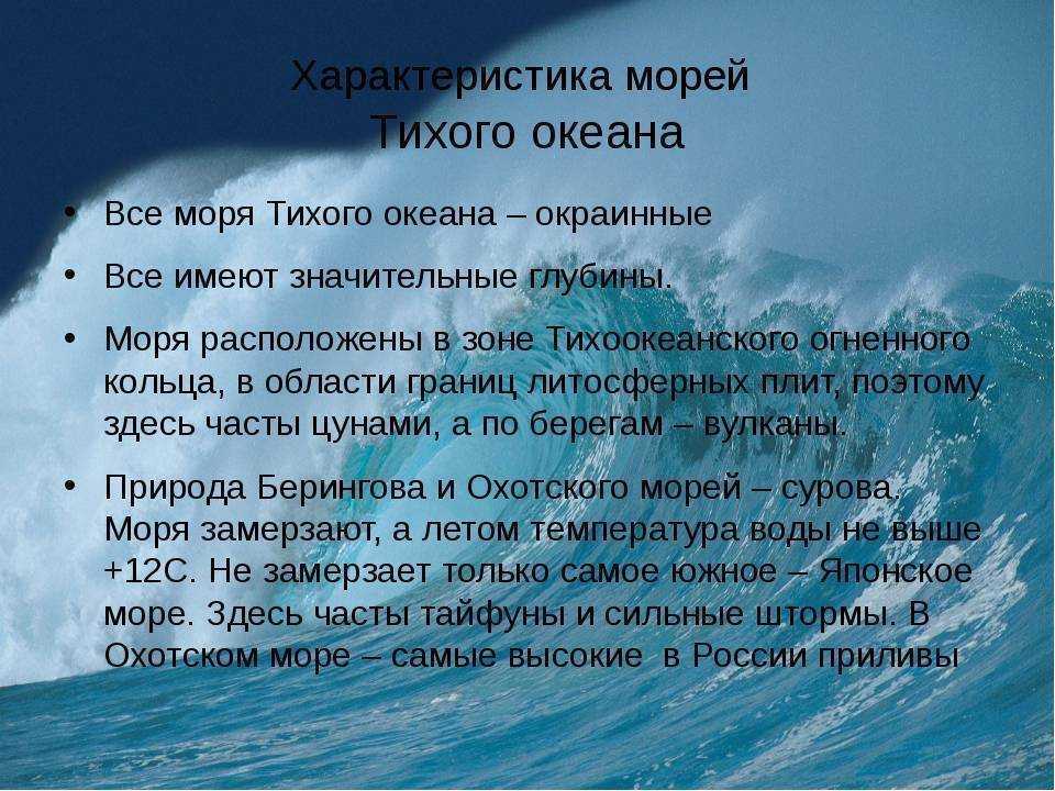 Тихий океан: 8 основных характеристик, границы, интересные факты