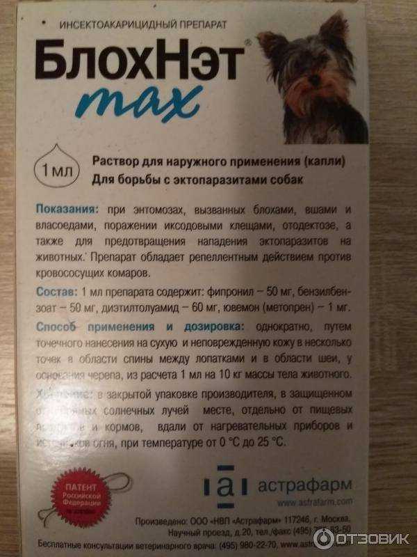Блохнэт – средство от паразитов для кошек и собак