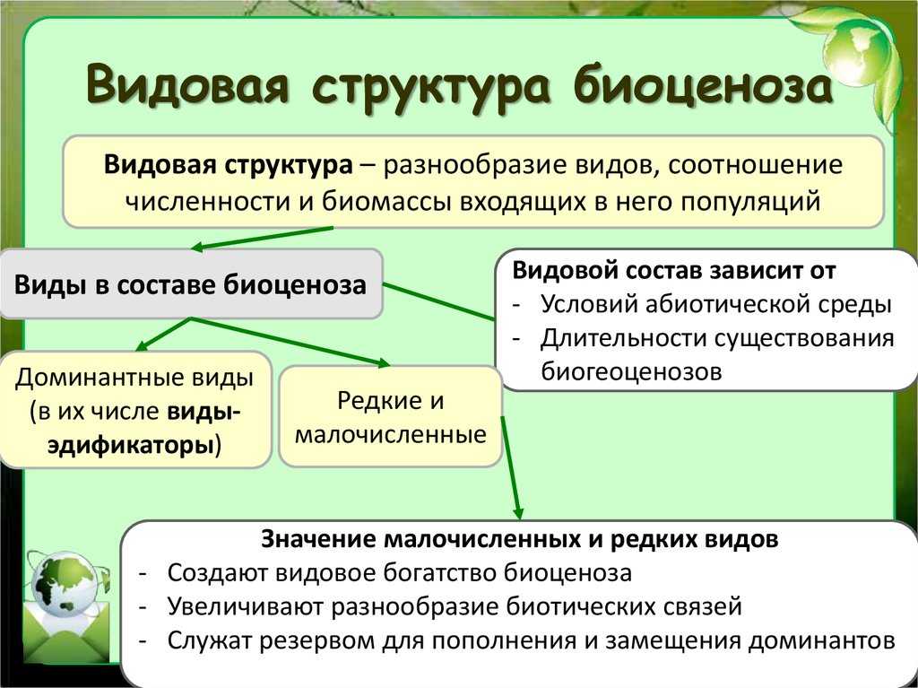 Презентация на тему: "биоценоз. структура биоценоза биология. 11 класс е.а. белова 2013.". скачать бесплатно и без регистрации.