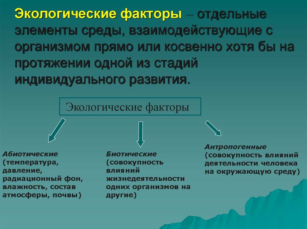 Экологические факторы окружающей среды