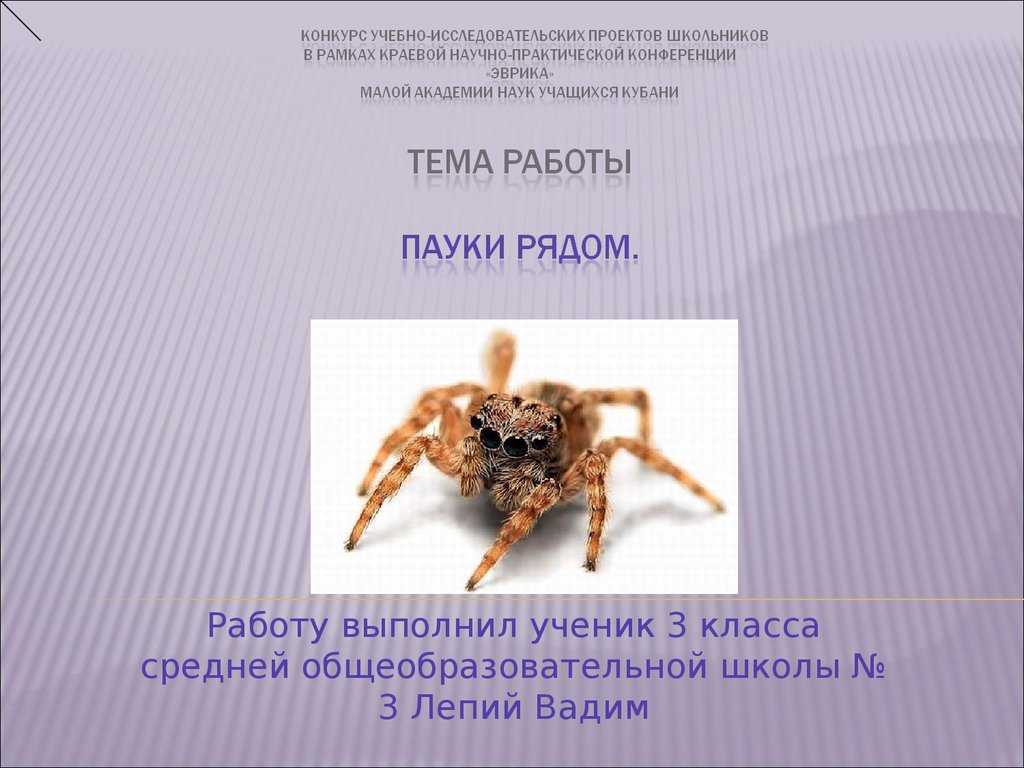 Представители паукообразных: пауки и скорпионы, клещи и их классификация, среда обитания