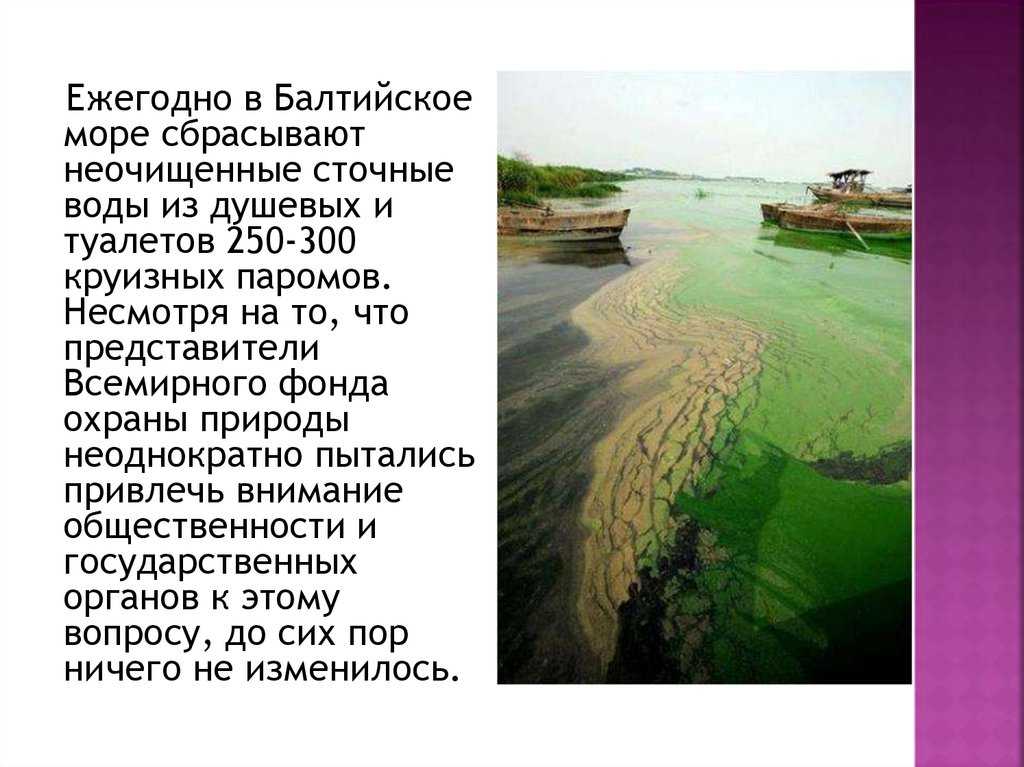 Экологические проблемы балтийского моря » ecowars.tv - природные катаклизмы и причины глобального потепления