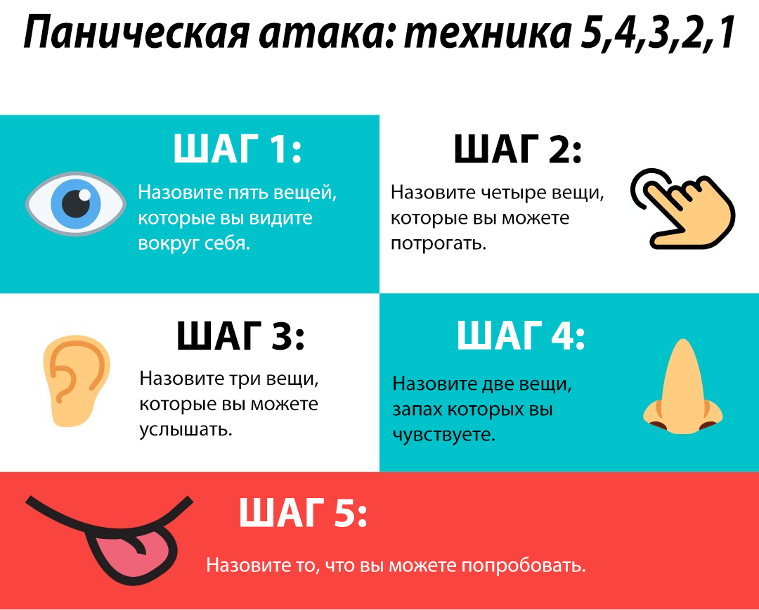 Собака кусает хозяина – что делать при агрессии к знакомым людям - про питомца