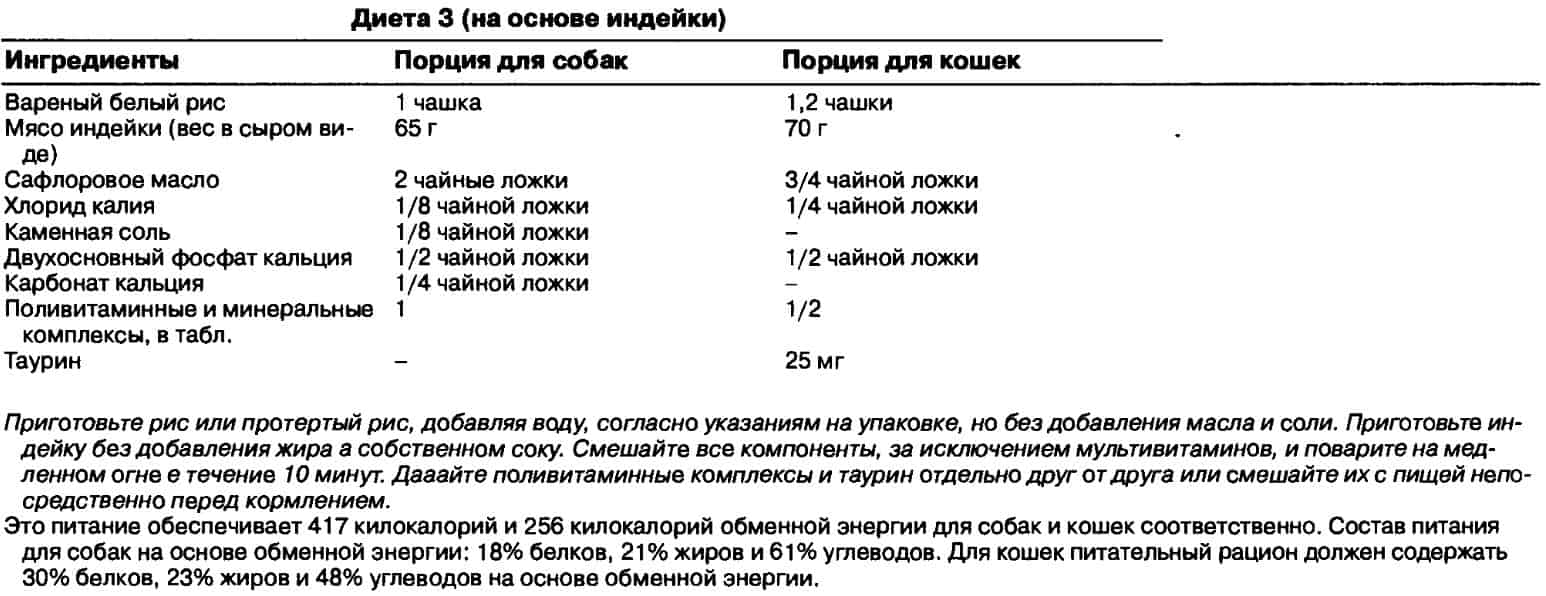 Гастрит у собаки: симптомы, лечение, диета, корм