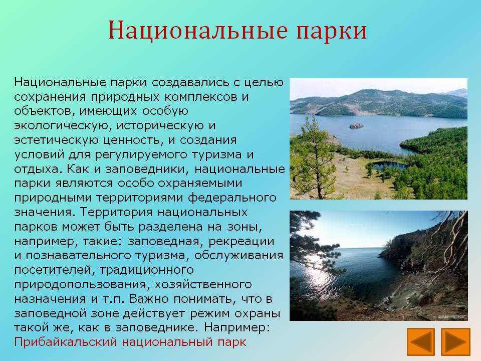 Топ 20 заповедников и охраняемых природных территорий в россии — список, фото, карты и описани