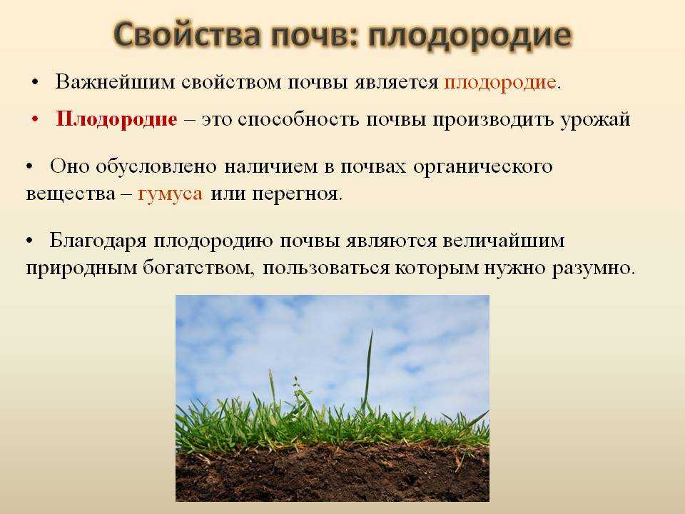 Охрана почв