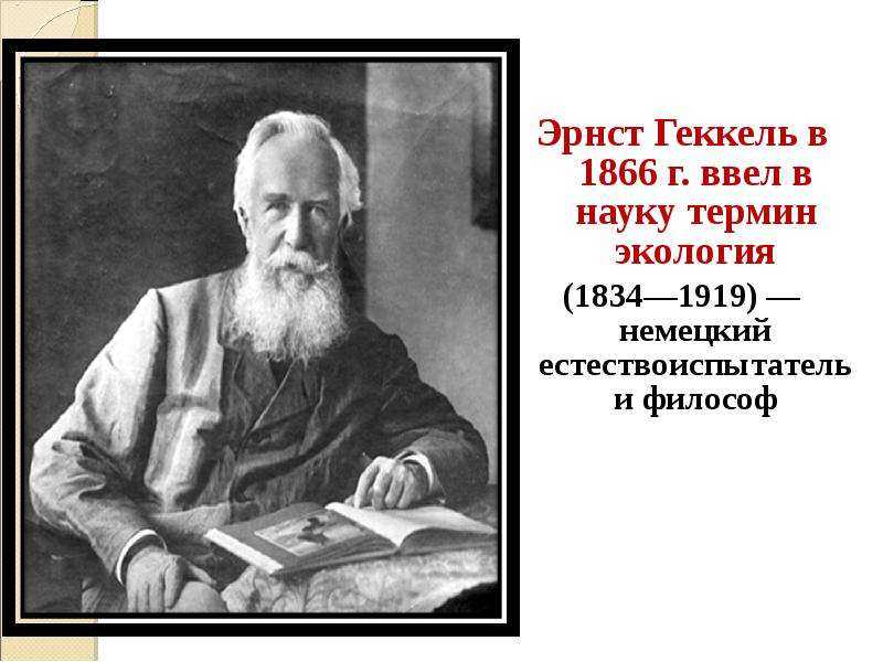 Общая экология: понятие, основные принципы и задачи