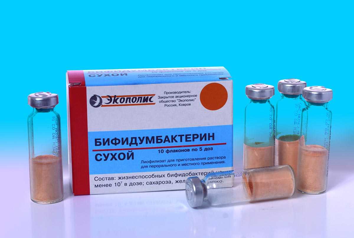 Бифидумбактерин для собак: инструкция по применению, когда назначается, как применять