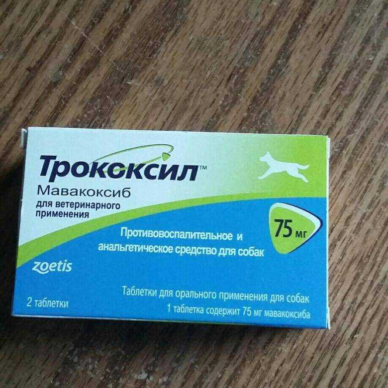 Трококсил для собак — инструкция и отзывы | «дай лапу»