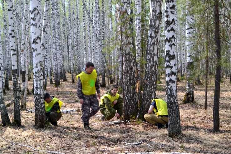 Использование охраны защиты воспроизводства лесов