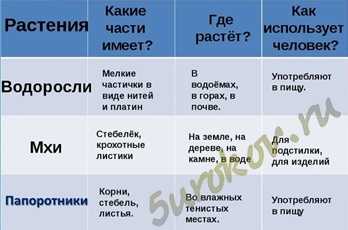 Мхи: особенности, строение, размножение, представители | 5 класс