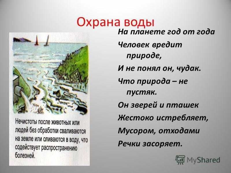 Охрана воды от загрязнения человеком