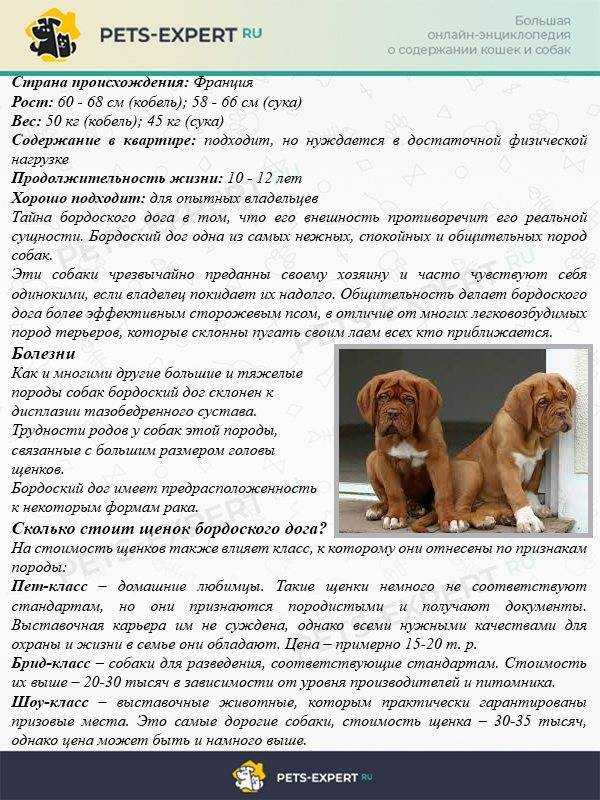 Список титулов и тестов, подлежащих внесению в верк ркф, и принятые сокращения