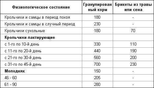 Как крольчиха кормит крольчат молоком и сколько раз в день