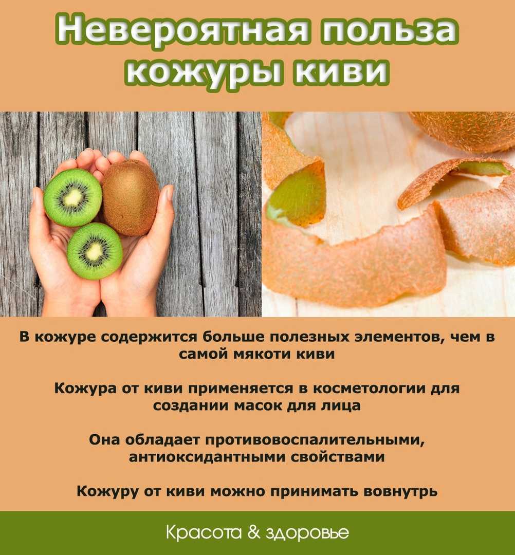 Разрешается ли давать собаке кушать арбузы: запреты по породам питомцев