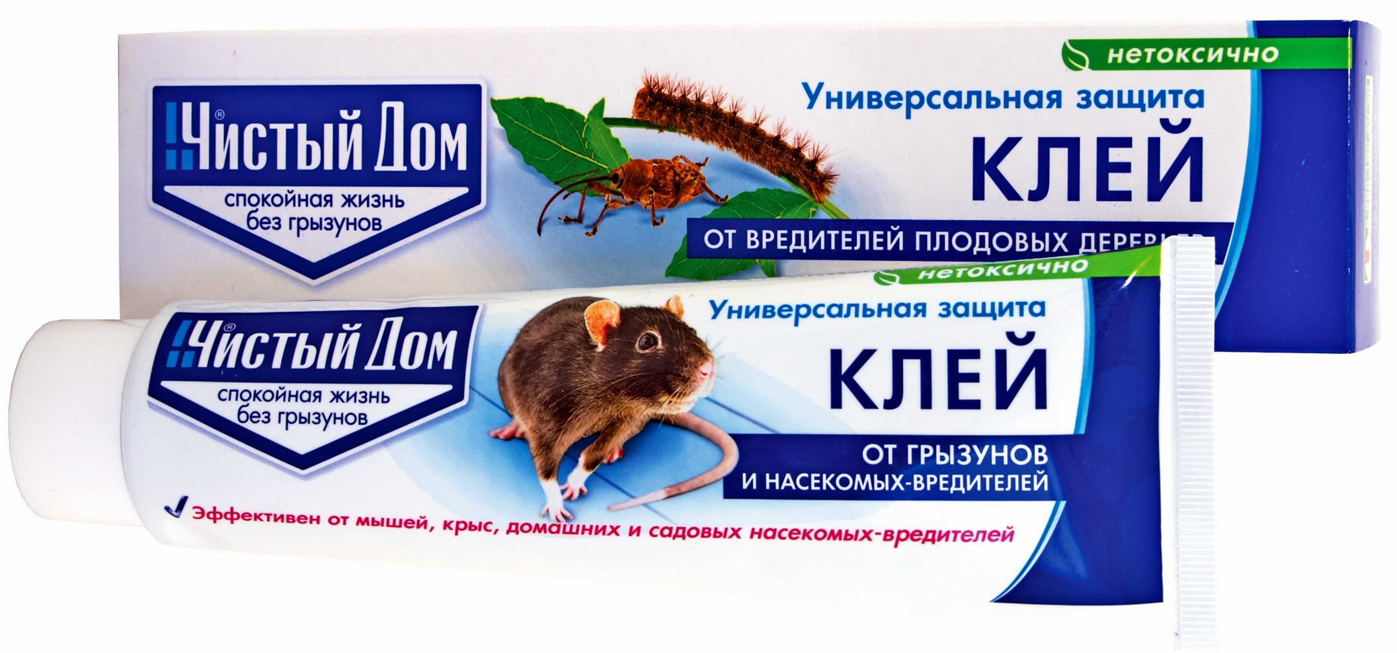 Поведение кошек: раскрываем секреты особенностей психологии животных