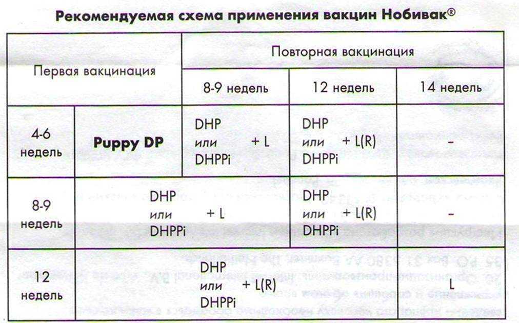 Ветеринарный препарат гексаканивак от ветзвероцентр. инструкция, показания, применение, дозировка.