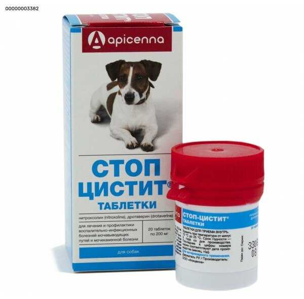 Стоп цистит таблетки для кошек и собак стоп цистит био суспензия инструкция по применению
стоп цистита в ветеринарии состав лекарства дозировка отзывы