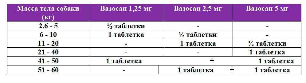Антибиотики для собак: какой можно давать, список, в таблетках, уколы, собака после антибиотиков - zoosecrets