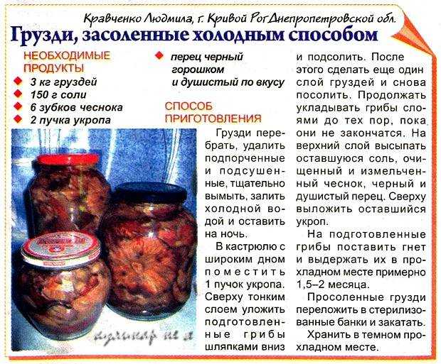 Солёные белые и чёрные грузди: простые рецепты засолки