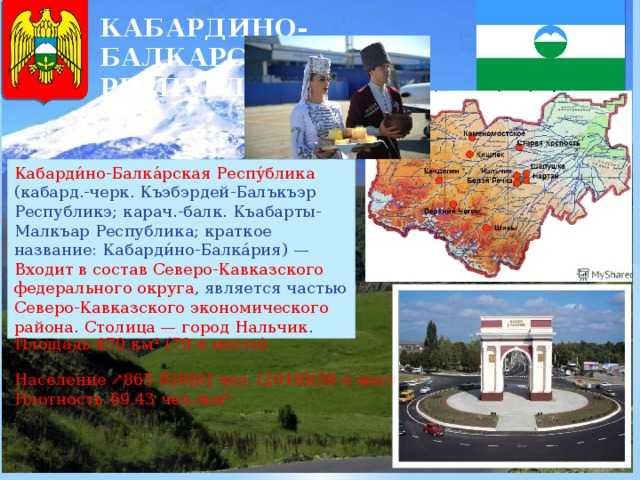 Широкоухий складчатогуб — энциклопедия руниверсалис