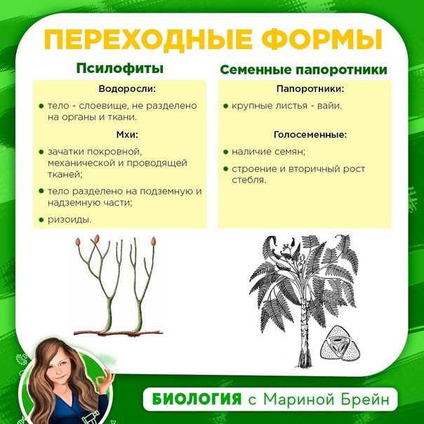 Биология