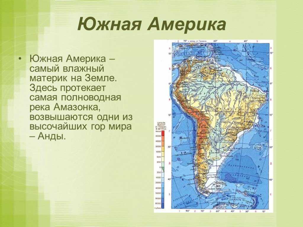 10 экзотических птиц в джунглях амазонки: названия, фотографии и информация! — сайт эксперта по животным — howmeow