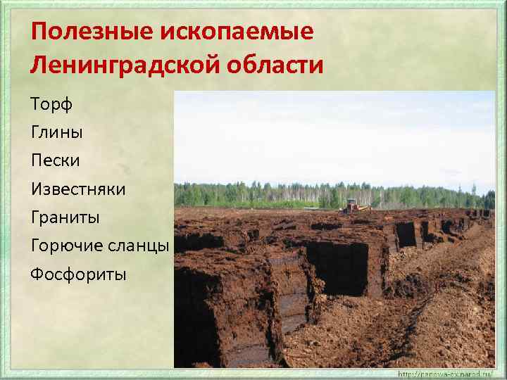 Локации поиска минералов в ленинградской области: секретные места и советы