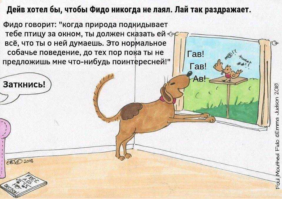 Как научить хаски петь, выть и разговаривать: полезные советы
