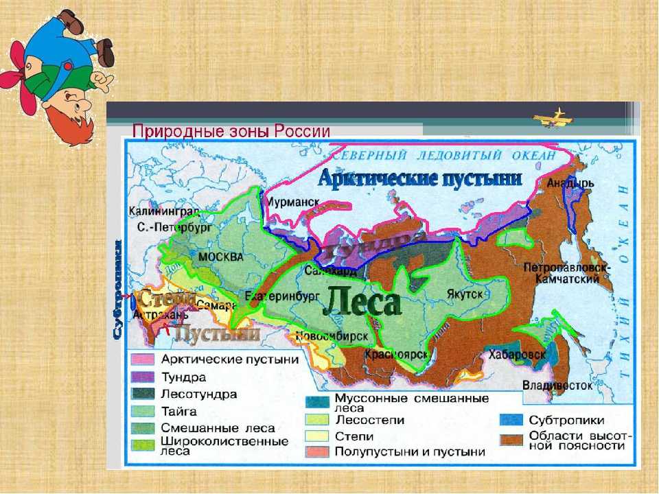 Основные проблемы существующие в экологии тайги