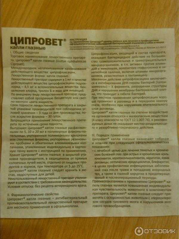 Ципрофлоксацин собакам: дозировка таблеток и капель, инструкция по применению раствора для инъекций. можно ли давать препарат щенкам при воспалении уха?
