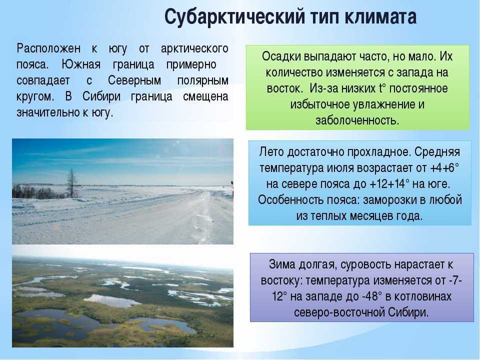 Характеристика субарктического климата: типы и особенности, какие российские территории охватывает пояс