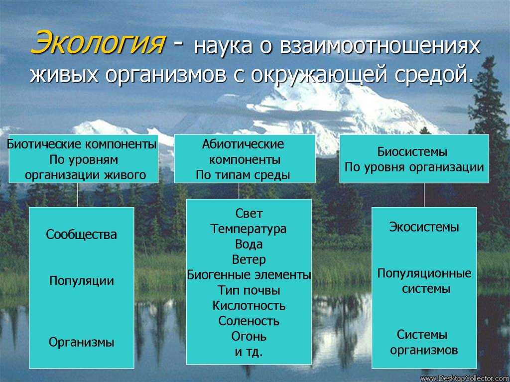 Экология организмов