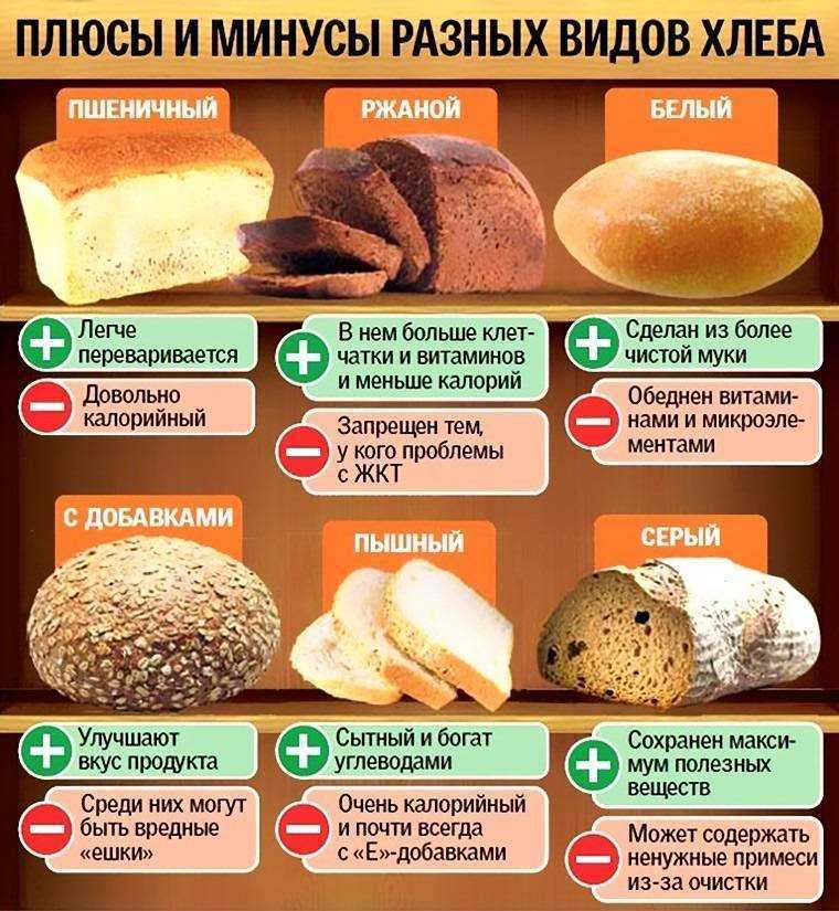 Хлеб собакам: можно ли кормить и как часто, какой вид хлеба предпочесть