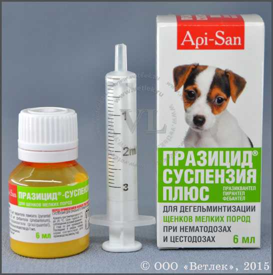 Таблетки празицид для кошек и собак